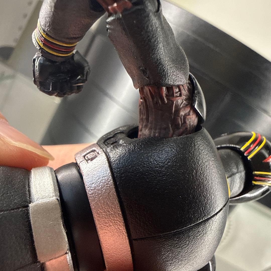 真骨彫製法 仮面ライダーブラック シャドームーン