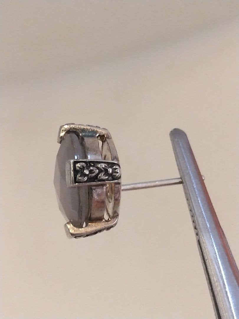 スティーブンデュエック＊Stephen Dwekc ピアス