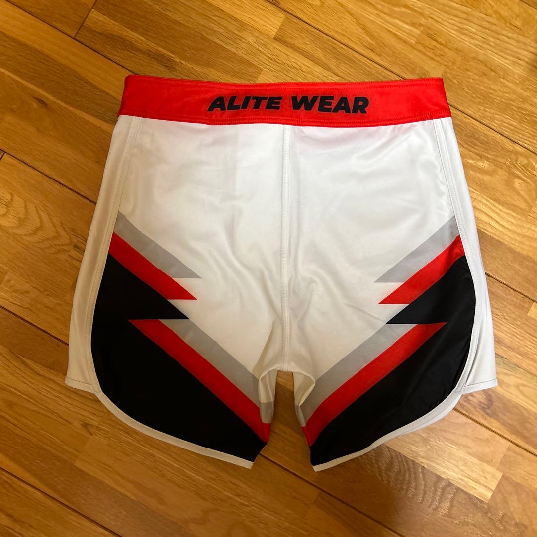 ALITE WEAR サーフパンツ