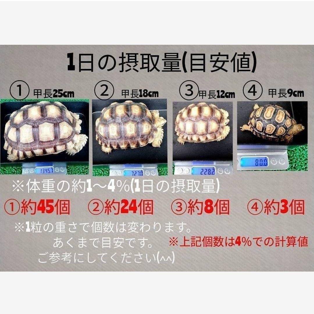 【5kg】リクガメフード　トータスダイエット5Ｍ21