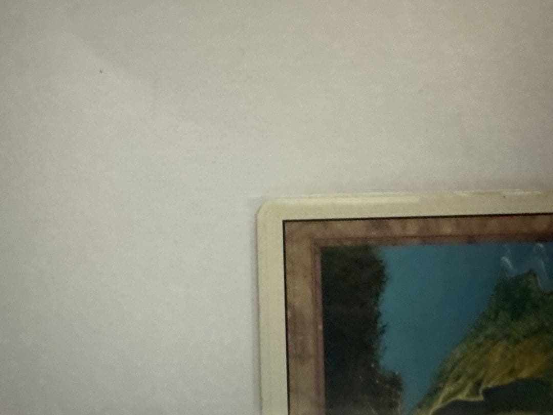 MTG 火山島 Volcanic  デュアルランド