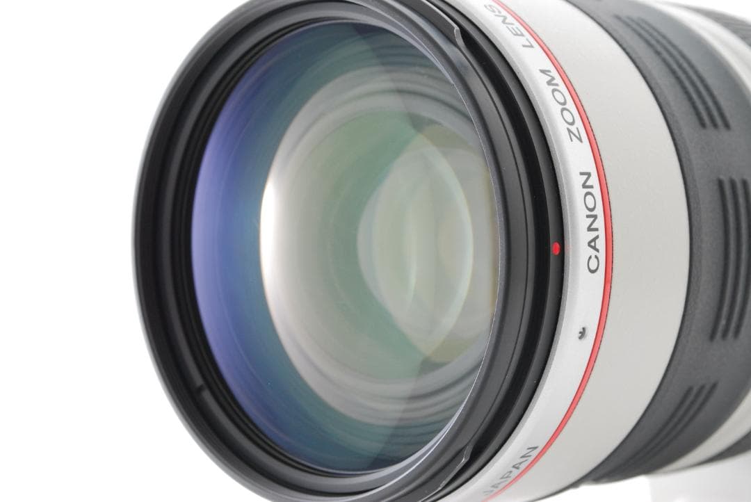 Canon EF 35-350mm 3.5-5.6 L USM キャノン レンズ