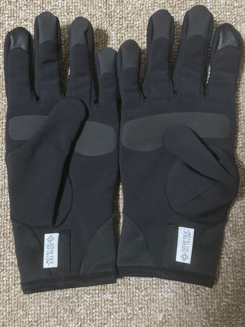arc'teryxアークテリクスペンタグローブM