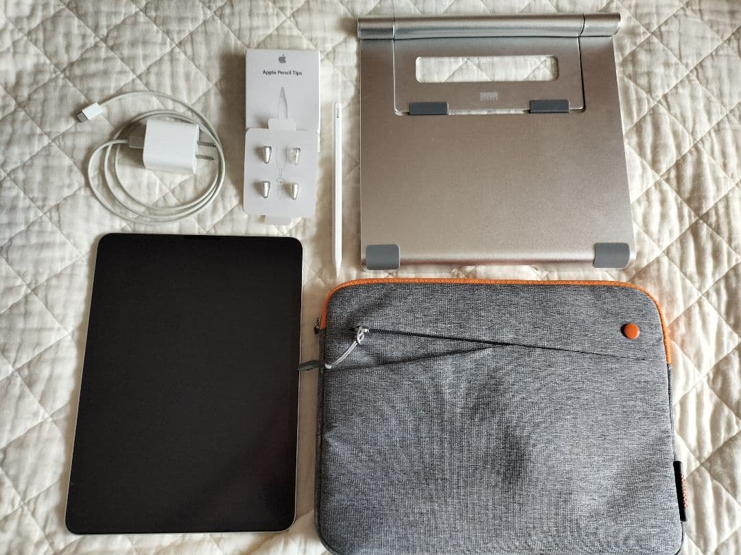 【soraさん専用】Apple iPad Pro (11インチ) 256GB