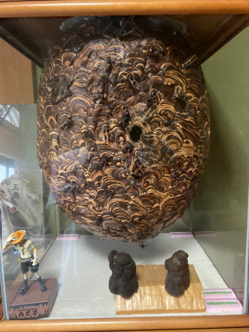 スズメバチの巣