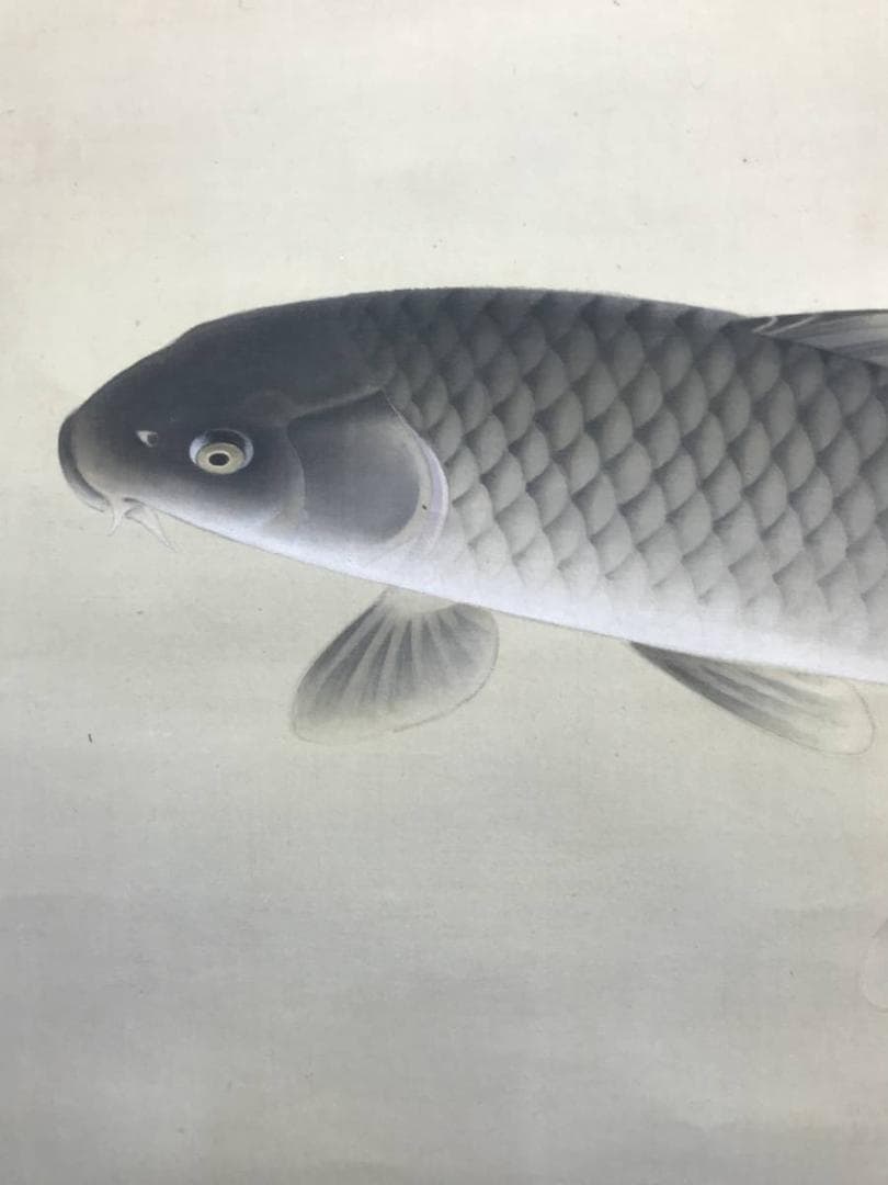 【真作】村田一径/遊鯉図玉堂門/鯉図/掛軸/名家伝来/AC-48