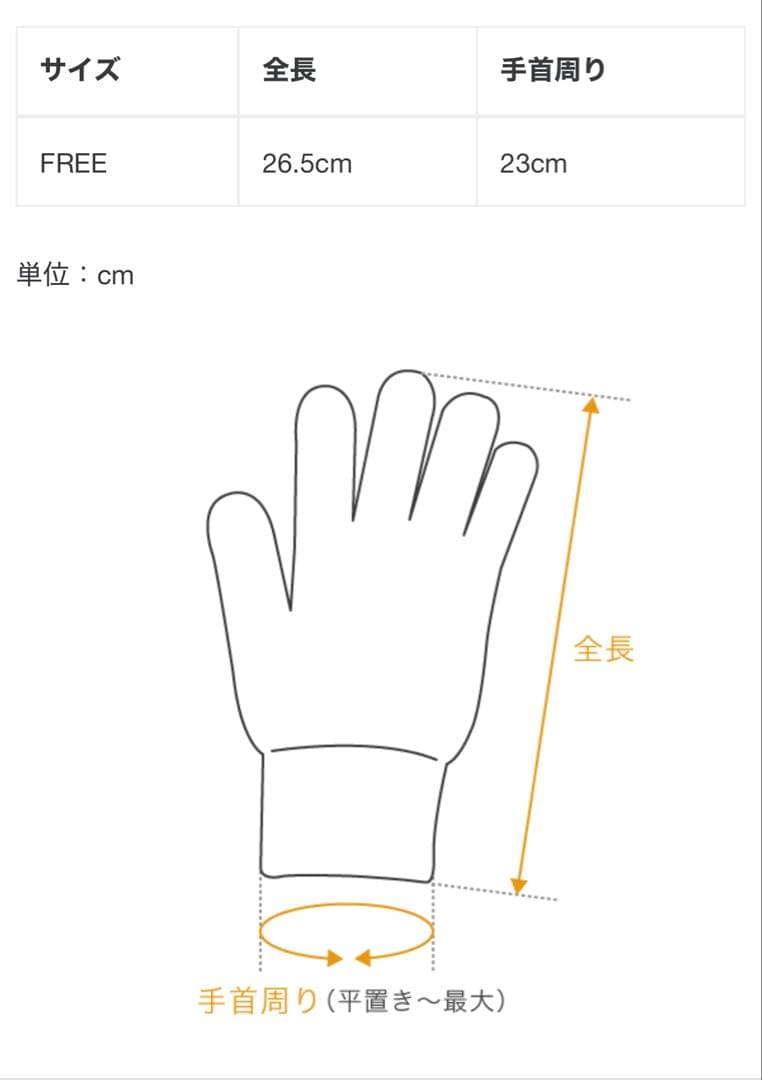 【未使用新品】エンダースキーマ スエードグローブ 黒