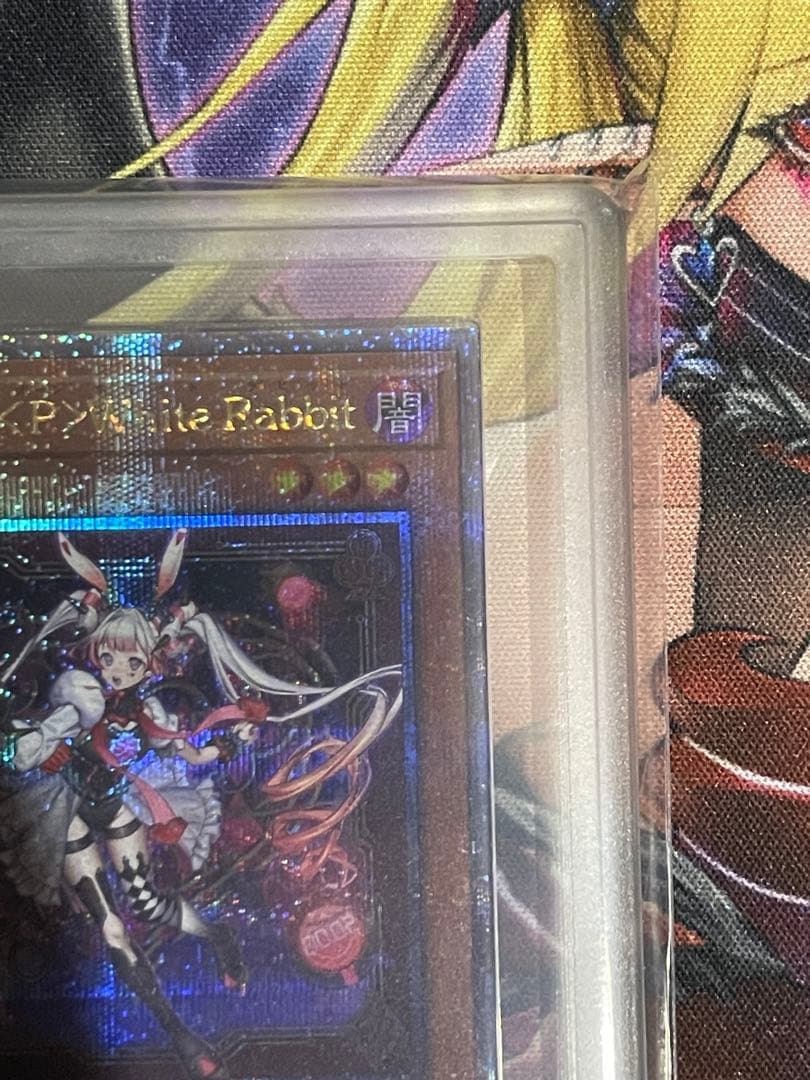 【ARS10+】M∀LICE＜P＞White Rabbit 25th PSA10