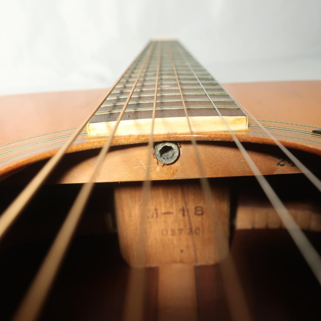 Morales LYRE BIRD M-18 アコースティックギターZEN-ON