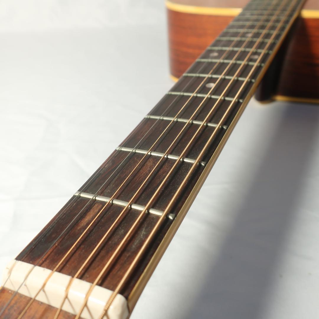 Morales LYRE BIRD M-18 アコースティックギターZEN-ON