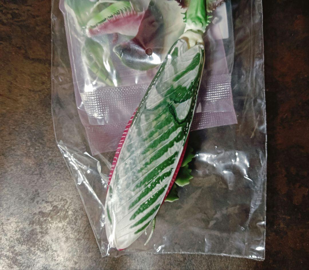 いきもの大図鑑アドバンス ニセハナマオウカマキリ　オス 成虫　オンライン版