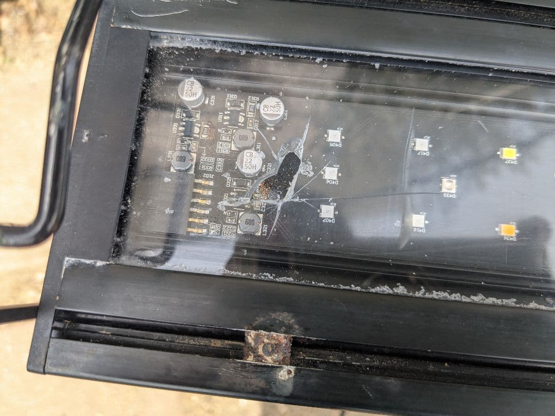 ボルクスジャパン Grassy Wing2 60 Marine　海水用