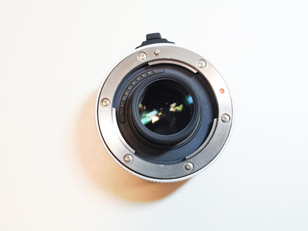 FUJIFILM XF200mm f2 R LM OIS WR TC 1.4X付