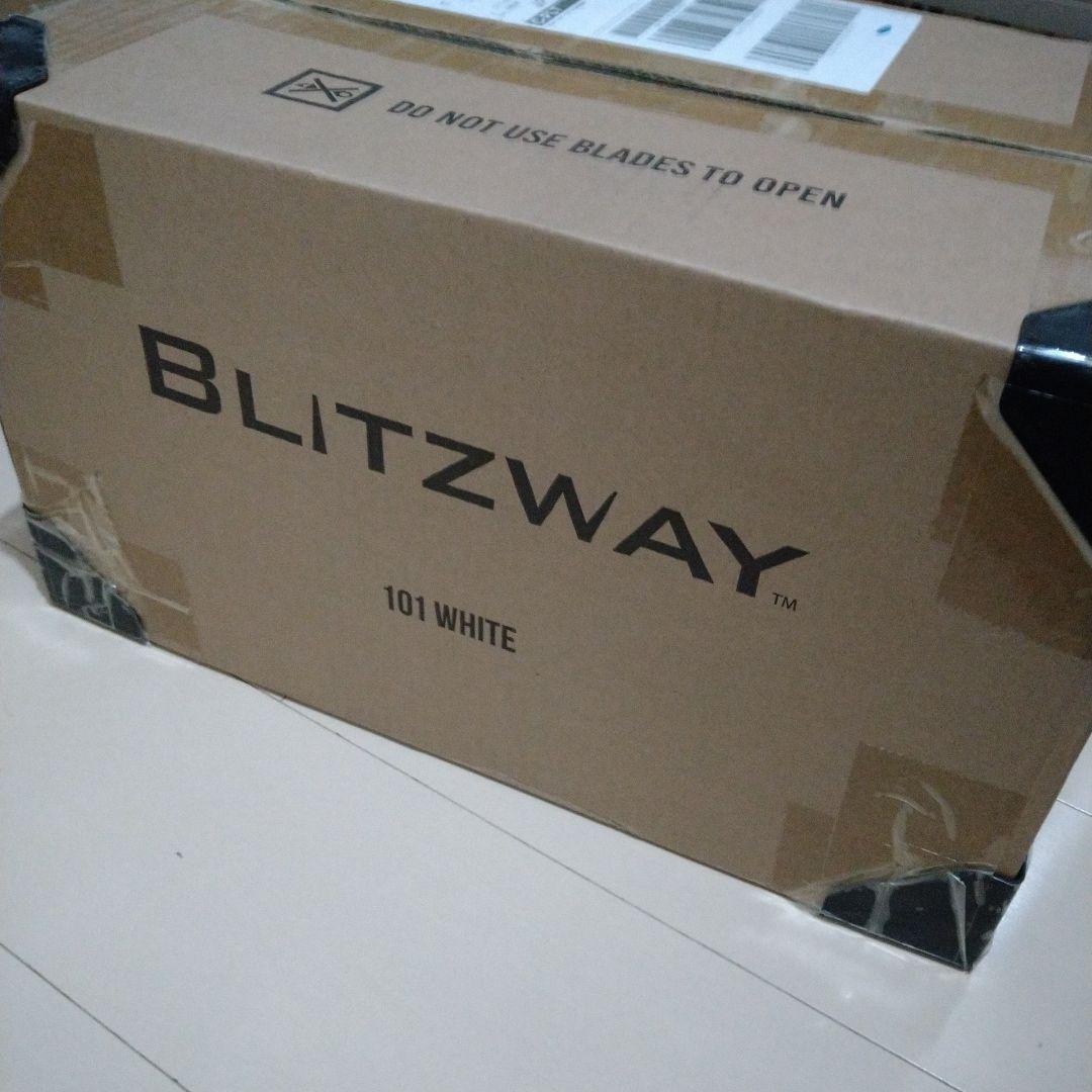 花井祐介 × sacai × Nike フィギュア/ white