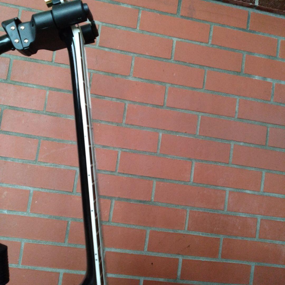 Bacchus DUKE-CTM 薄型ボディ　レスポール