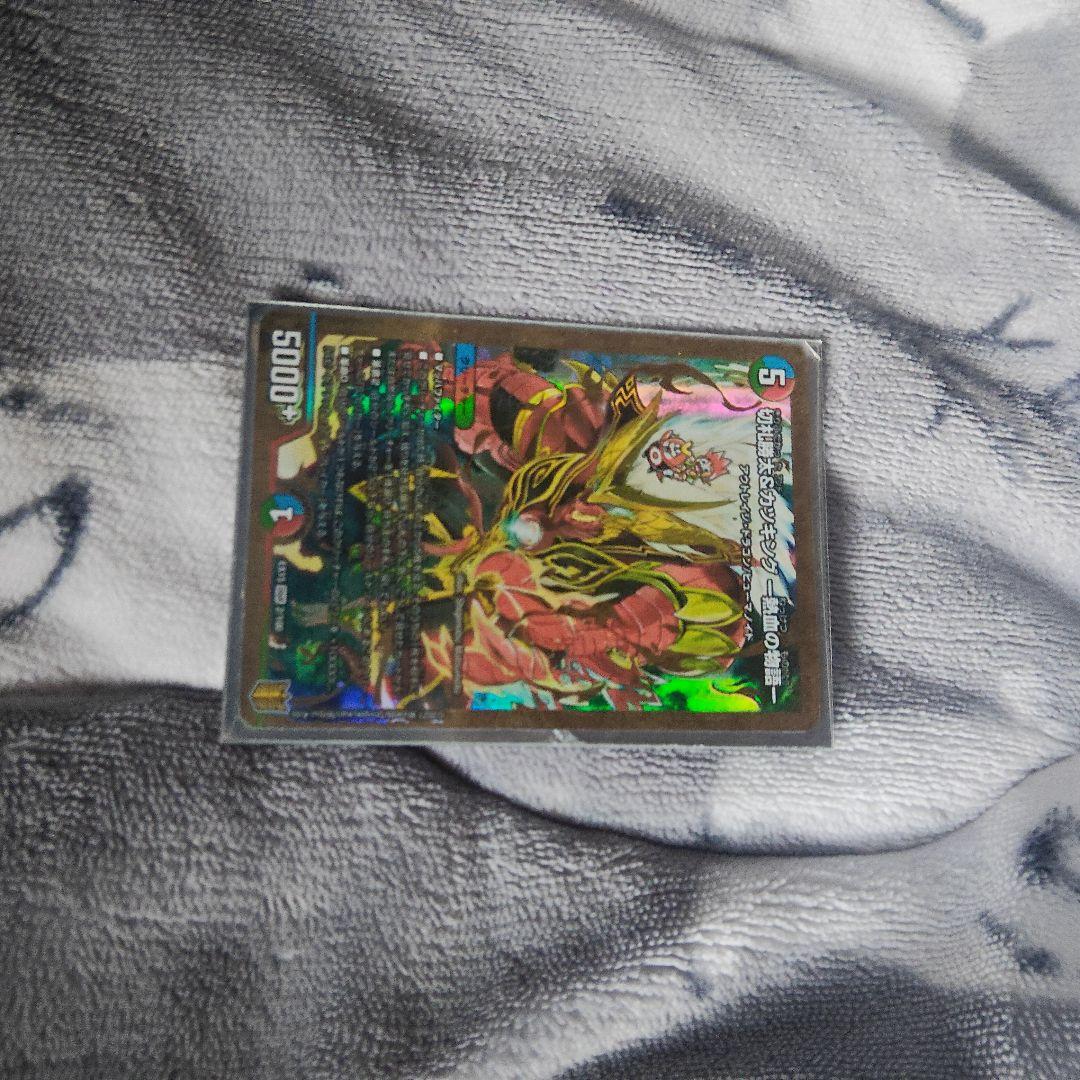 か*ん様 デュエルマスターズカードコレクション　引退品