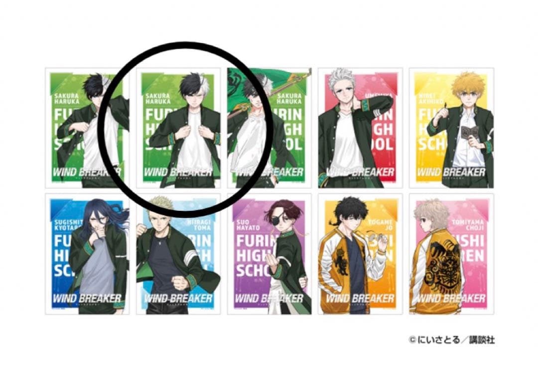 新品未使用 桜3種 ウィンドブレイカー SEGA限定①