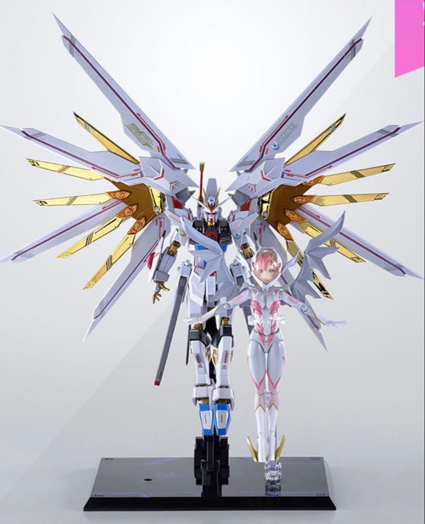 メタルロボット魂 ストライクフリーダムガンダム弐式　プラウドディフェンダーラクス