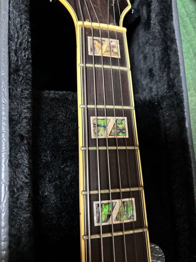 Ibanez AF105-VB フルアコPU MODアンティクィティHC付き