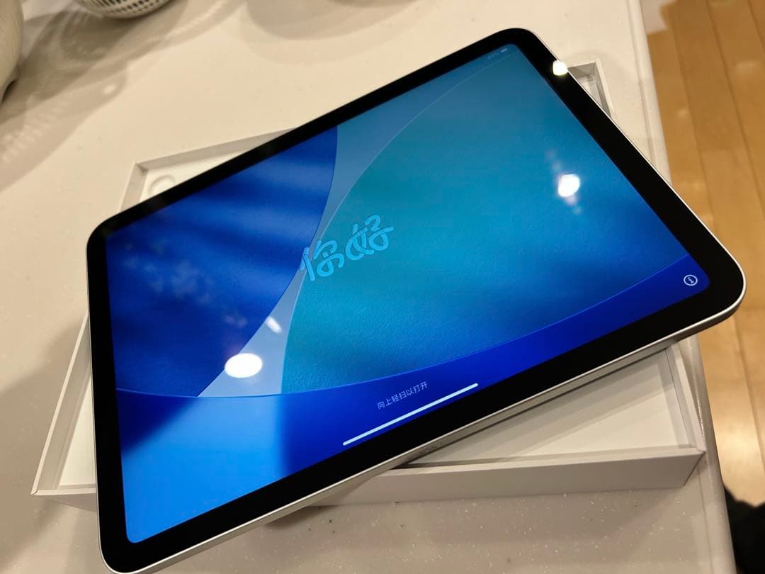 【新品未使用】Apple iPad A16世代　シルバー 本体