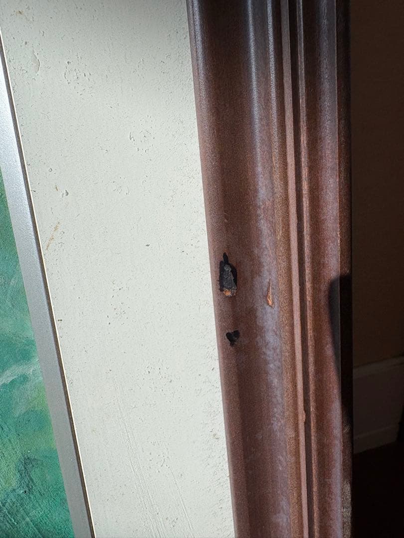 アネモネ　油絵　絵画