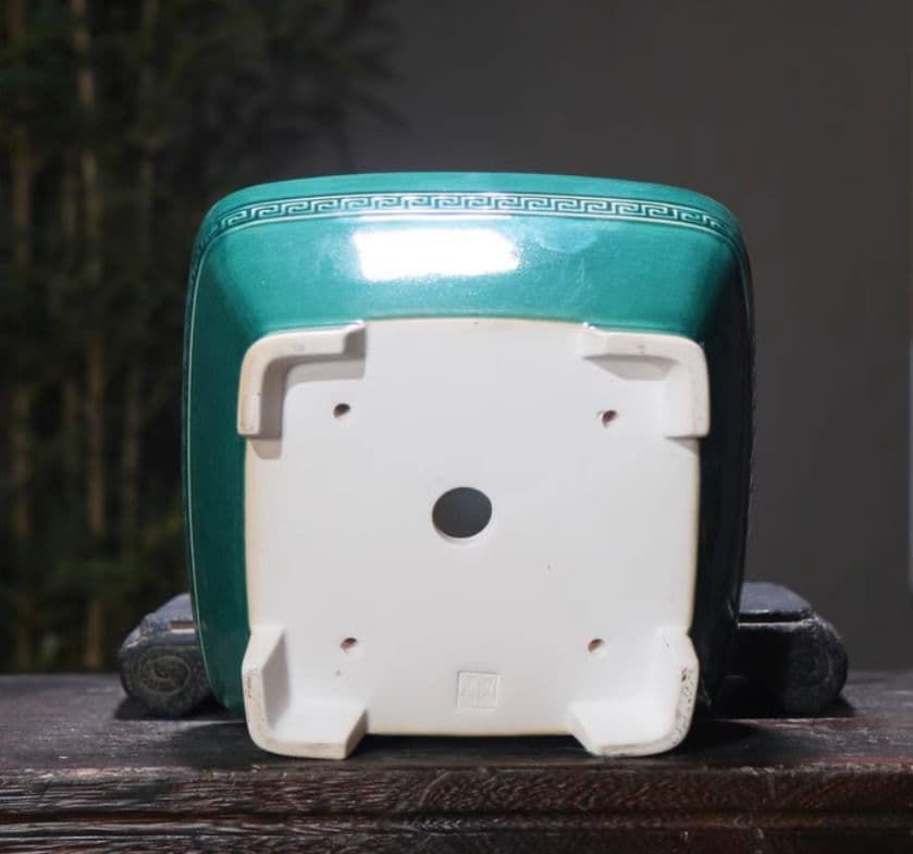 盆栽鉢 青磁鉢 山野草鉢 多肉植物 植木鉢 小品大品盆栽鉢 陶器鉢置物