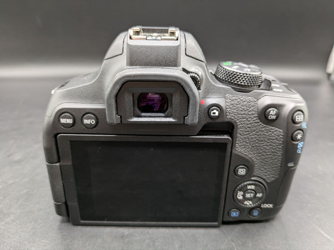 ふらふら Canon EOS Kiss X10i マクロ＆ズームレンズ付き