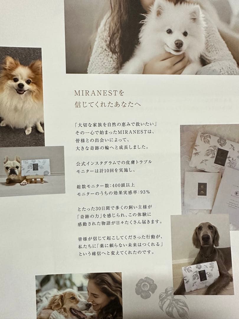 サプリメント MIRANEST EXTRACT JELLY SWIM FOR DOG