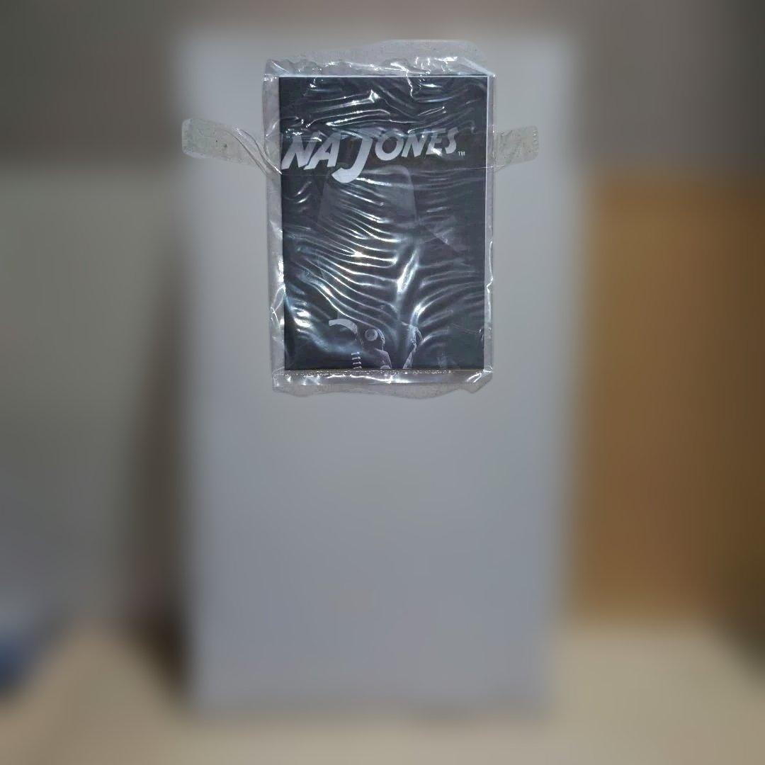 RAH　インディー・ジョーンズ　メディコムトイ　ハリソン・フォード