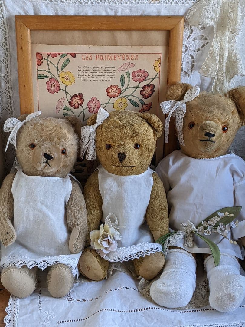 【p】アンティークベア　アンティークテディベア　イギリス