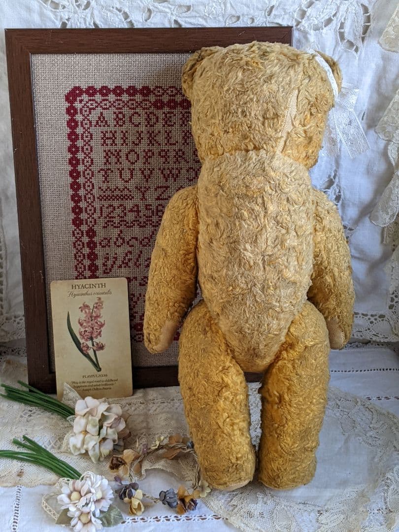 【p】アンティークベア　アンティークテディベア　イギリス