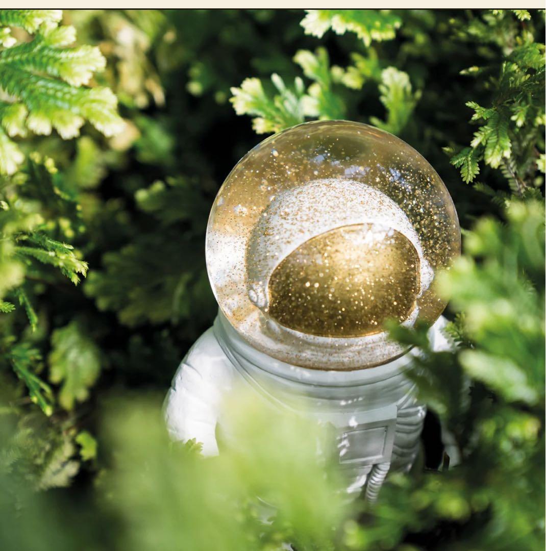 donkey products社 宇宙飛行士