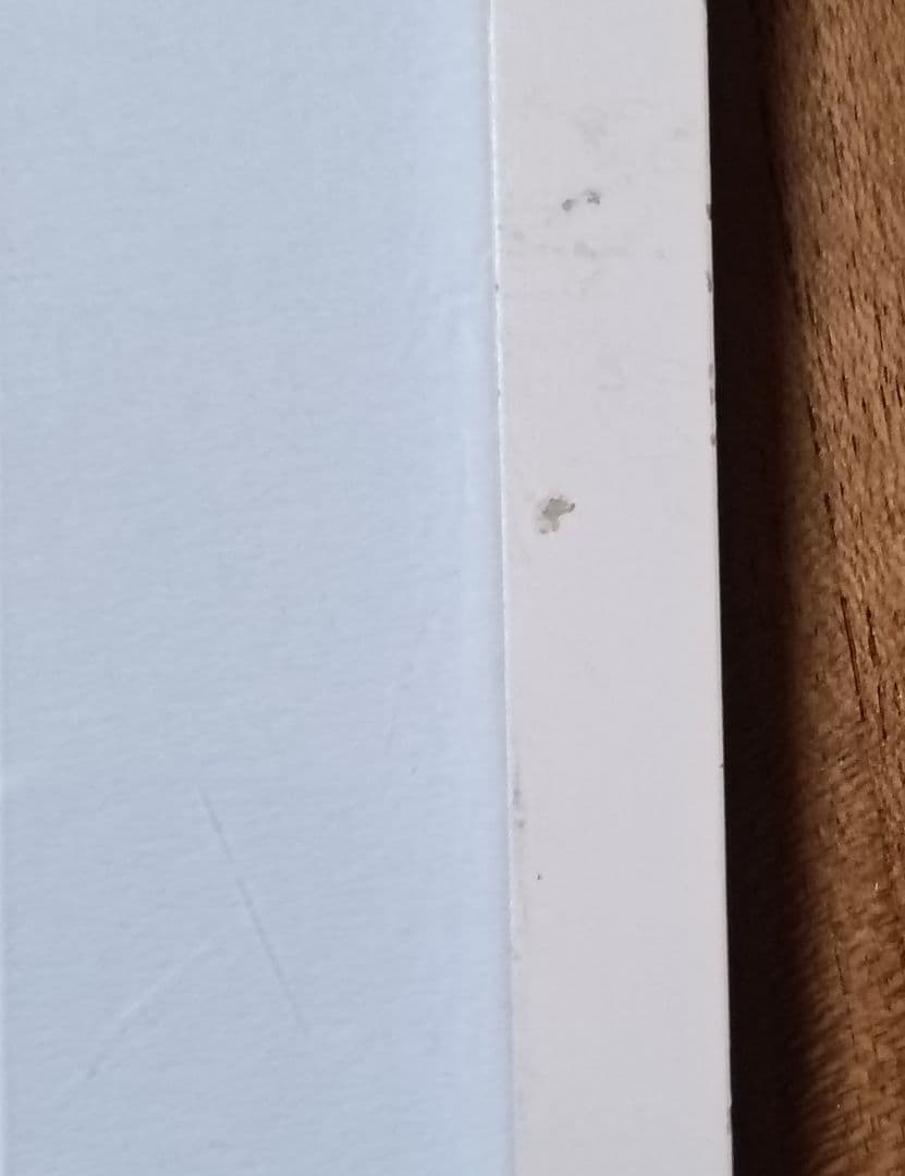 絶版　美品　奈良美智　ポスター『勉強中』　ドイツ製　額装品