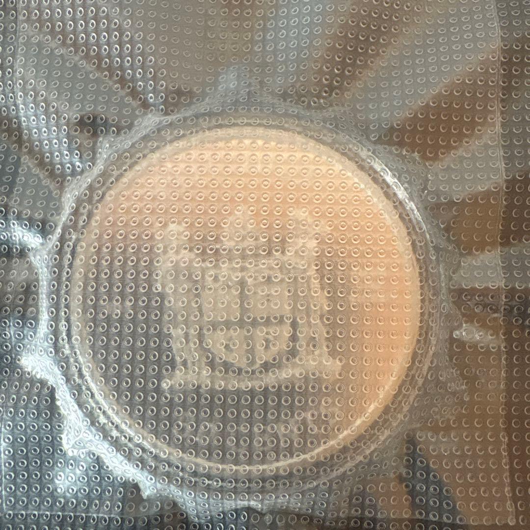 2022年 フィージーネコ銀貨　1オンス カプセル付き