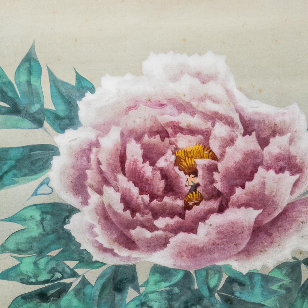 掛軸-991　富取風堂　牡丹　共箱