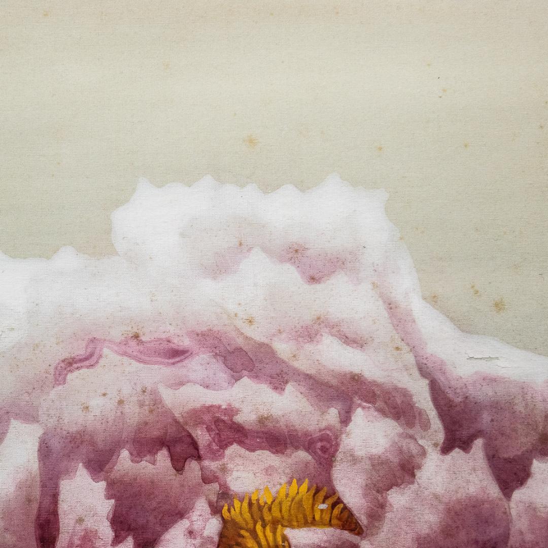 掛軸-991　富取風堂　牡丹　共箱