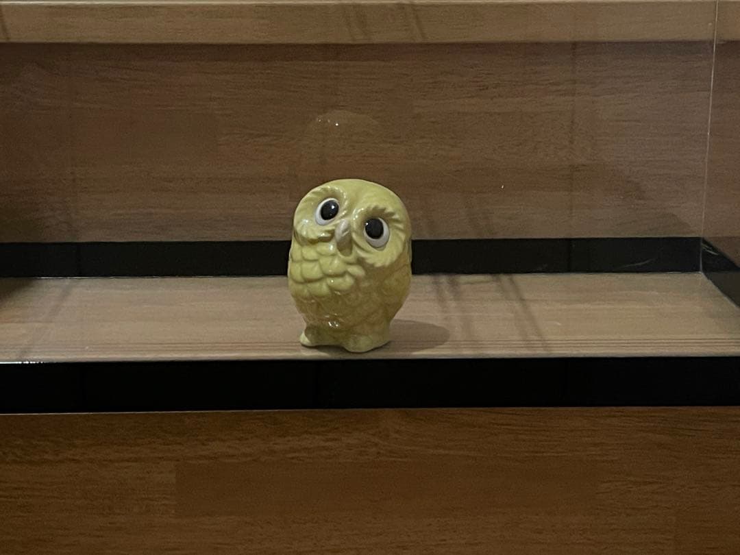 アクリル水槽 600✕300✕360 黒帯 板厚3mm 中古