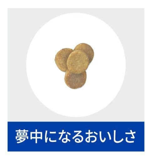 ヒルズ プリスクリプションダイエット【腎臓ケア】キャットフードドライ２kg×２個