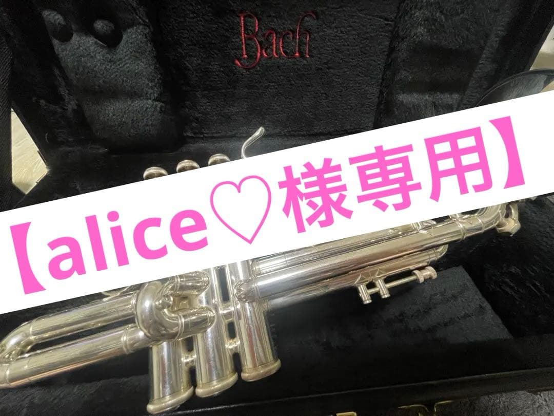 【専用】alice♡プロフお読みくださいませ