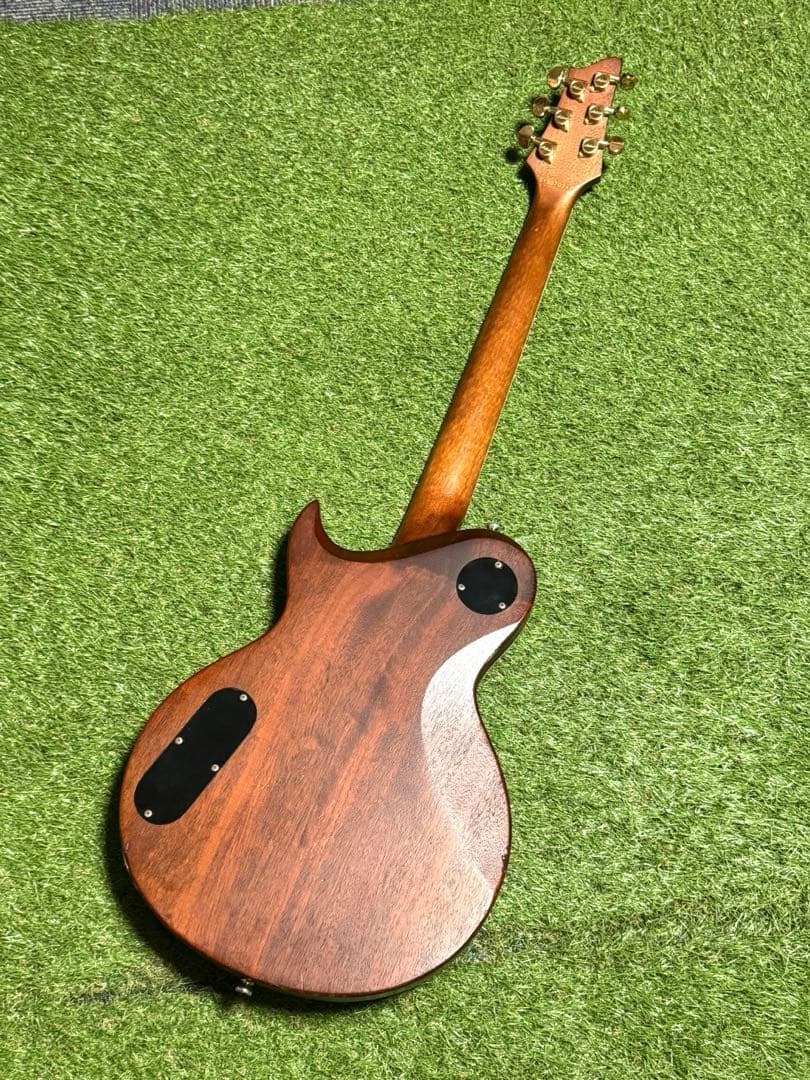 N*n様 Aria Pro2 アリアプロツー　PE-MAHO II/G