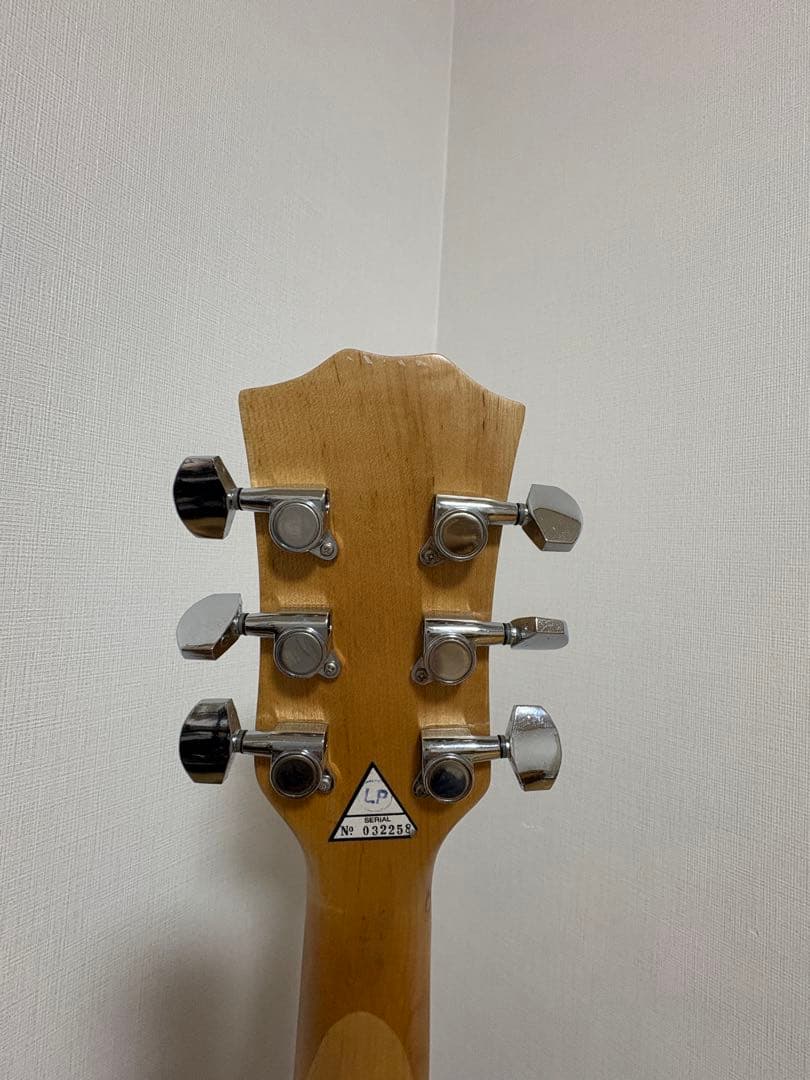 【hide yoshi】JAGARD エレキギター モッキンバード