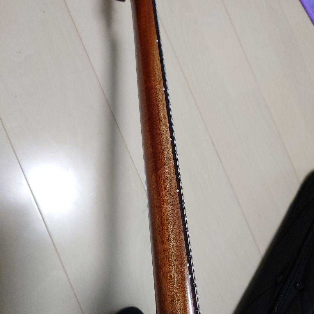 Bacchus　BJM-60E ジャズマスター　マホガニー