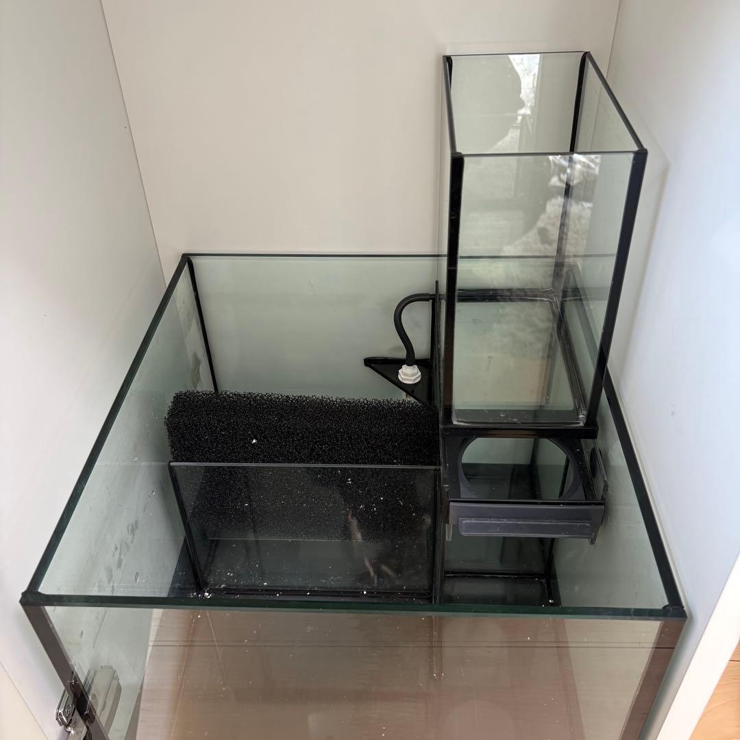 Bob(^^) レッドシー リーファーナノ