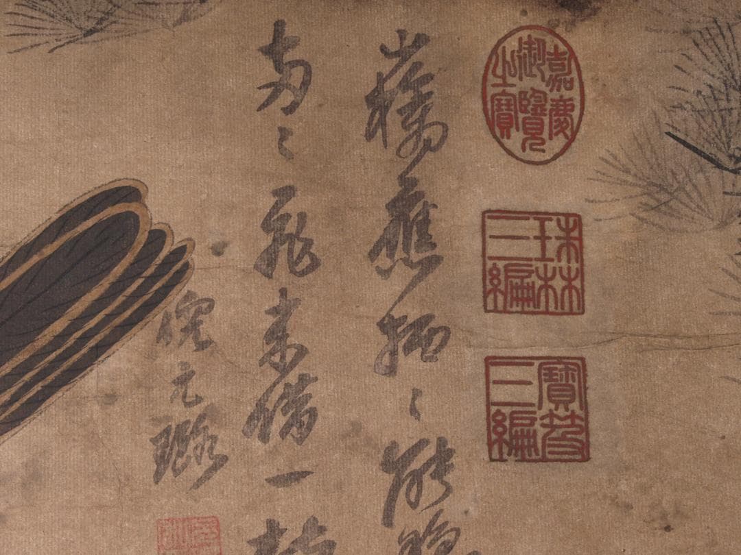 【骨董掛け軸】花鳥図 中国顾闵中　肉筆掛け軸　 唐物唐本　AK610A12-2