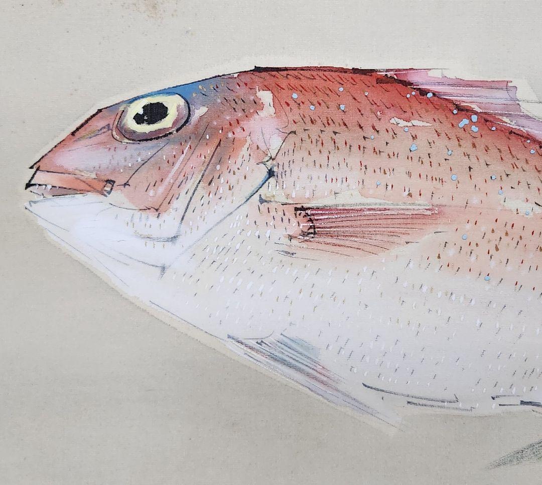 【真鯛図】佐野五風 2665 タイ 共箱 掛け軸 肉筆