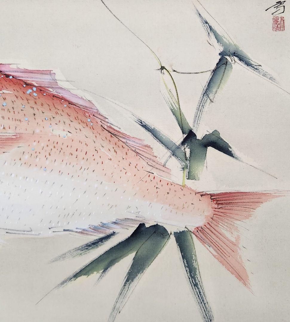 【真鯛図】佐野五風 2665 タイ 共箱 掛け軸 肉筆