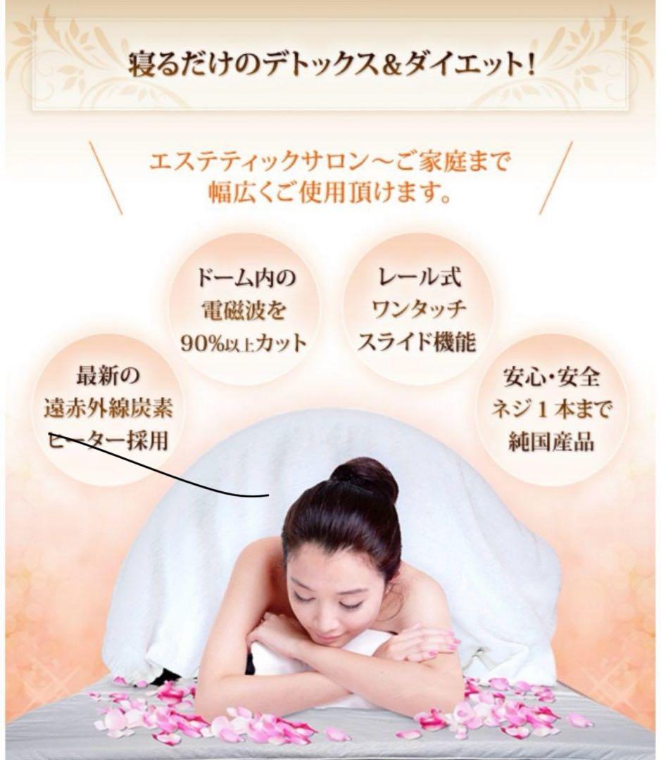 【美品】ドームサウナ プロフェッショナル