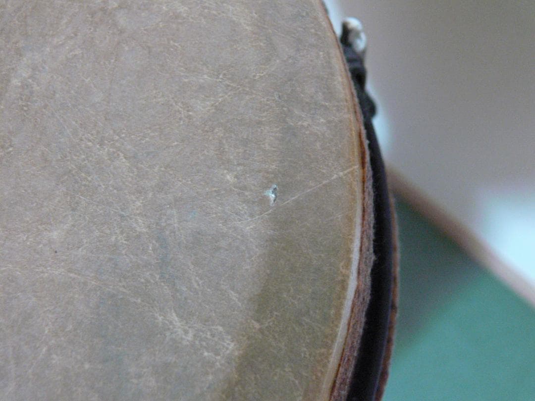 REMO Djembe ☆★軽量ファイバージャンベ　10インチ　専用レンチ付属★