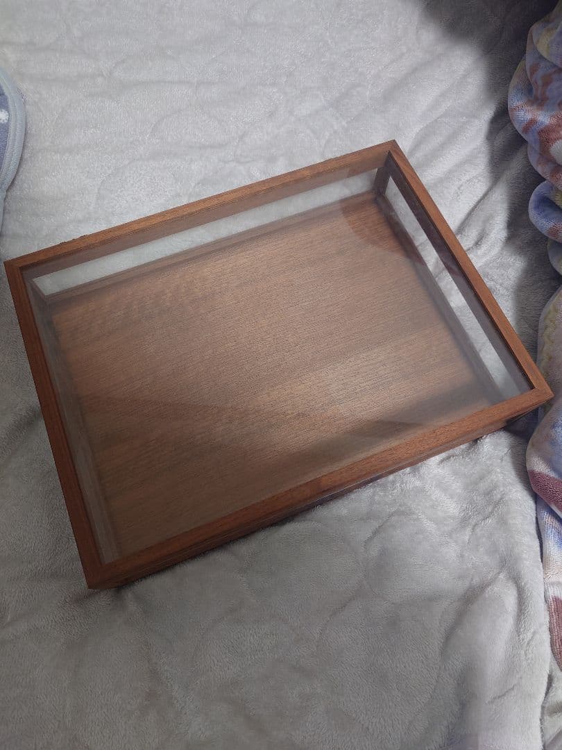 La Luz（ラ・ルース） ガラス ジュエリーボックス 木製　透明標本箱