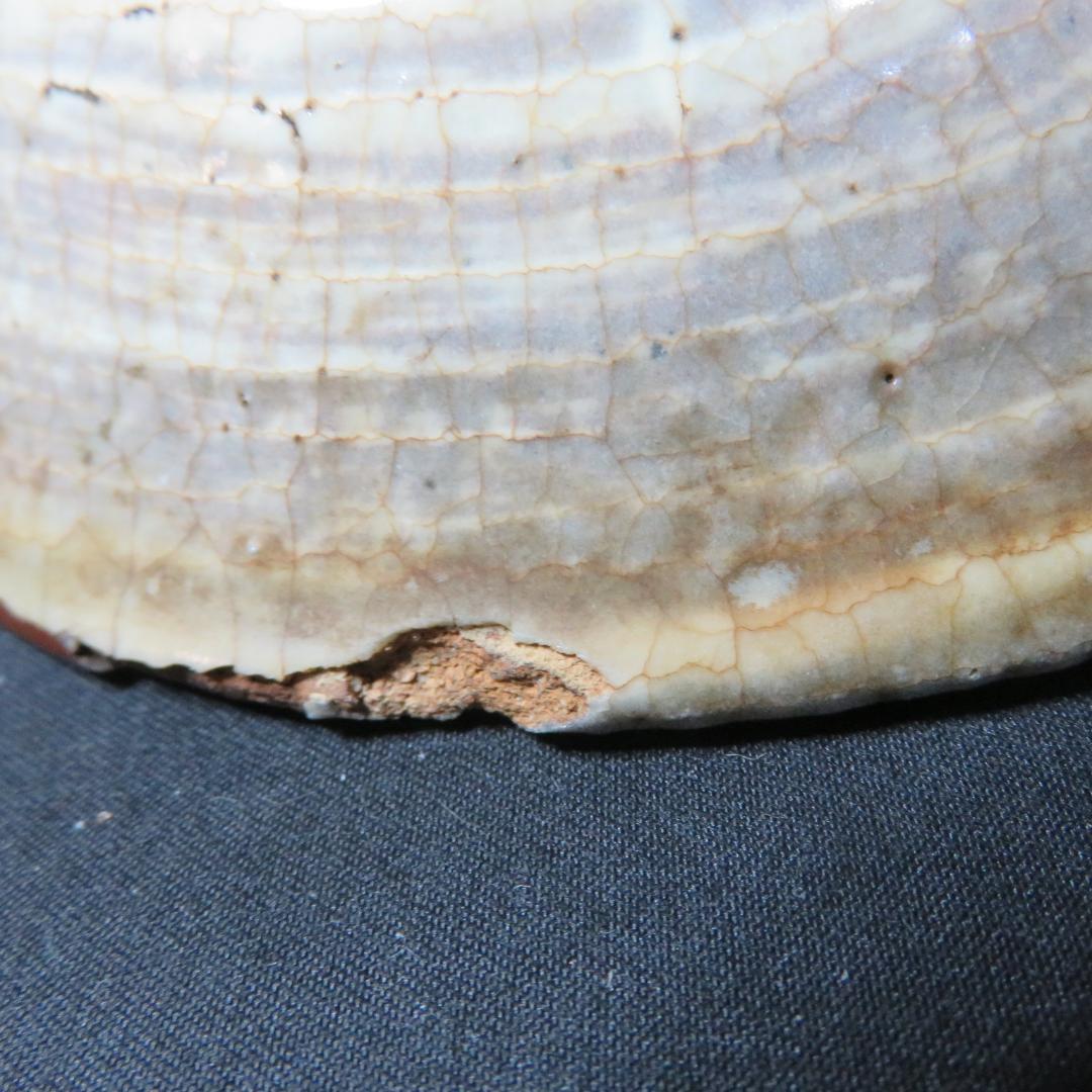 茶碗 刷毛目 訳アリ 縁欠け 直し 茶道具 茶器 抹茶碗 木箱